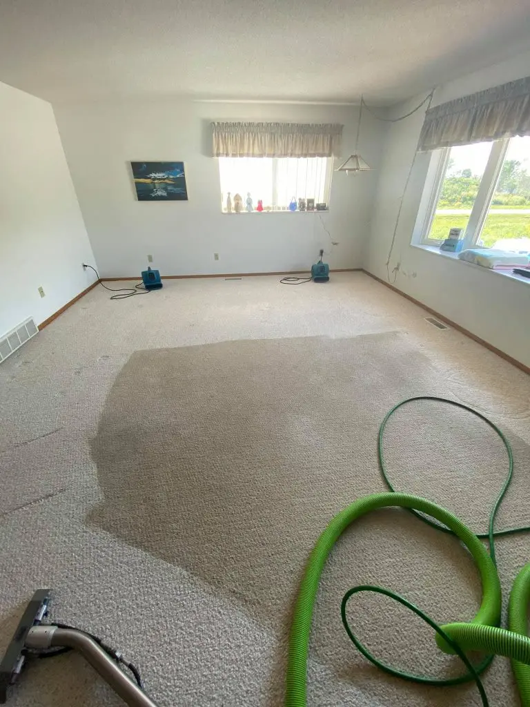 Deep Clean technician cleaning carpet in a residential room with professional equipment